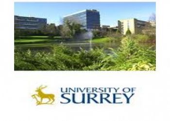 Palestinian Awareness Day in Surrey University