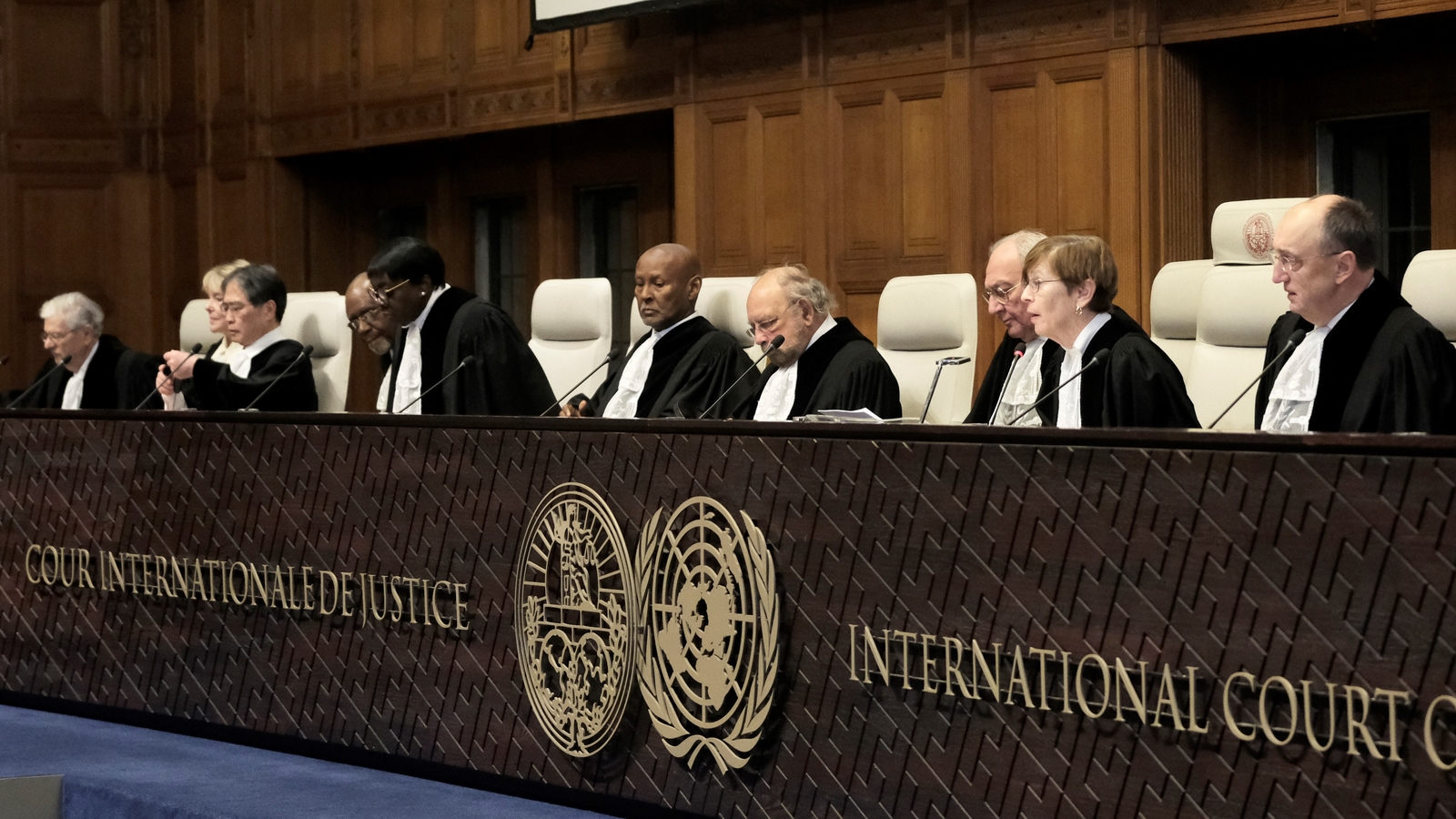 Gazan's Future Depends on Decision of International Court of Justice: South Africa