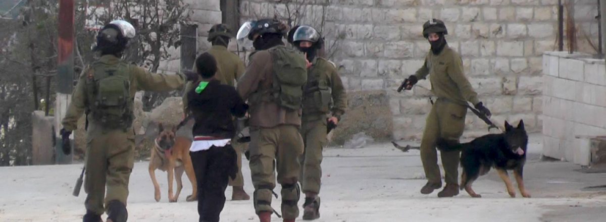 منظمة حقوقية: استخدام الاحتلال الإسرائيلي للكلاب ضد الفلسطينيين أمر ممنهج