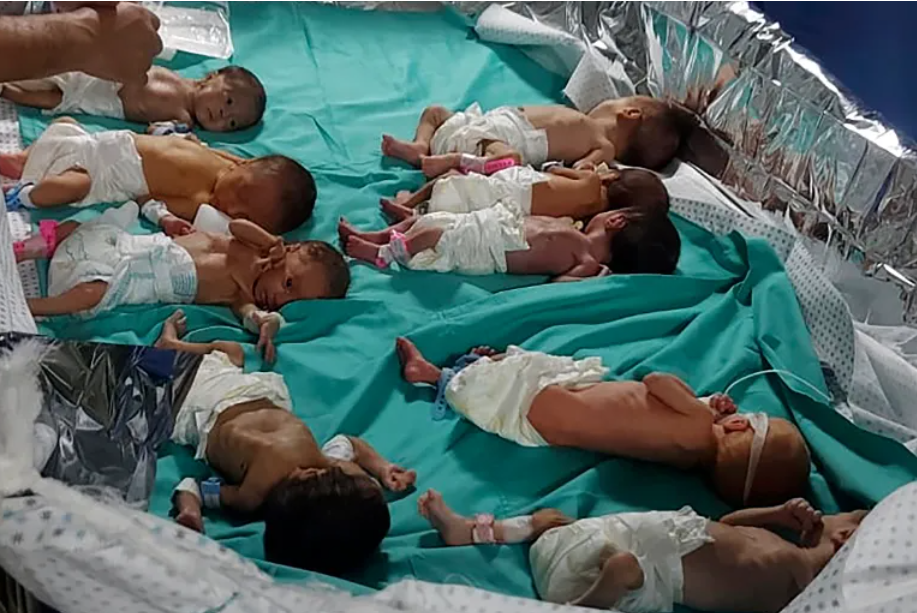 3 Babies Freeze to Death in Gaza amid Israel’s Genocidal War