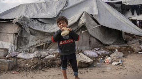 مؤشرات خطِرة لانعدام الأمن الغذائي في غزة