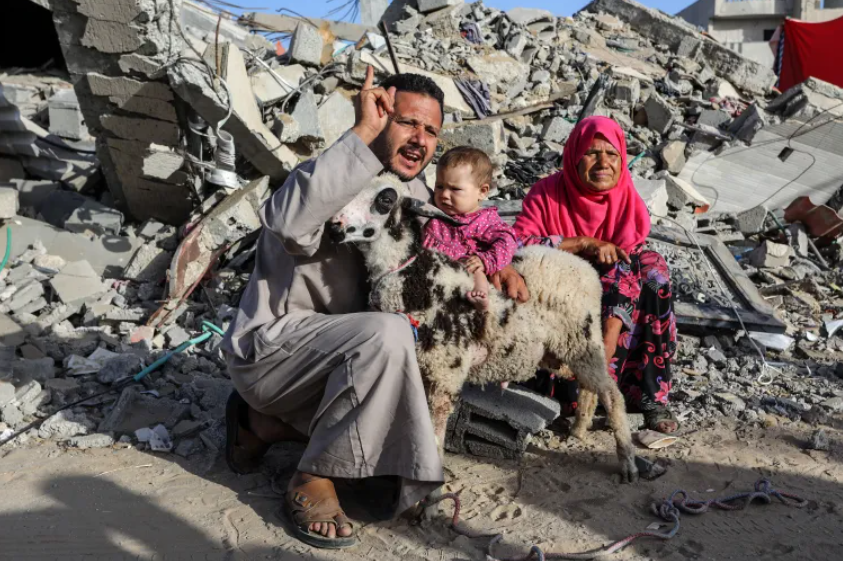 حكومة غزة: الاحتلال يمنع إدخال الأضاحي ويحرم 2500 غزي من أداء الحج 
