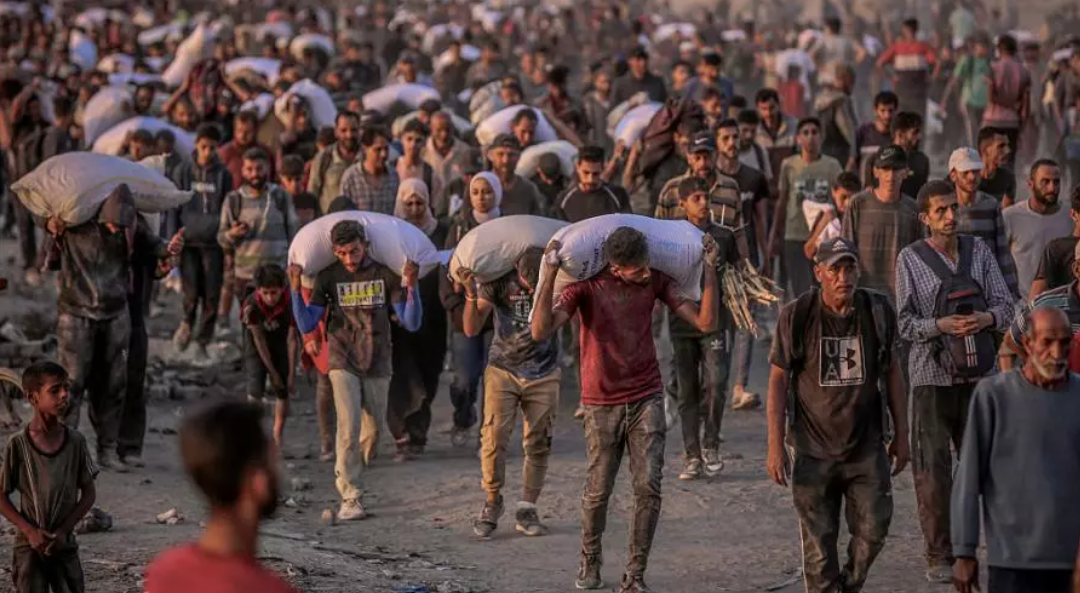 الأمم المتحدة: مقتل 1500 فلسطيني في غزة أثناء بحثهم عن الغذاء منذ مايو