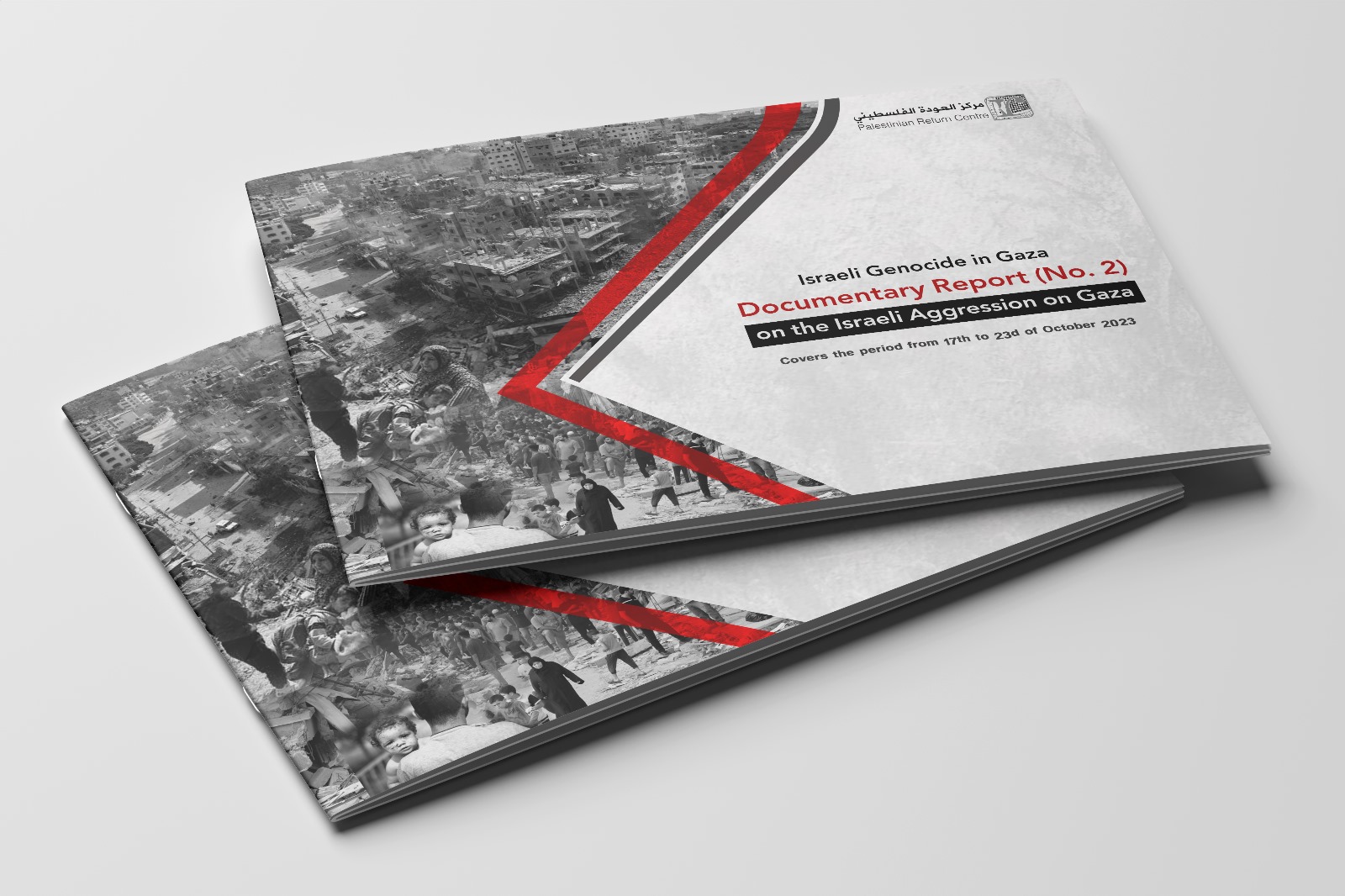 Situation Report (No.2) on Israeli Aggression on Gaza - from 17 to 23 October 2023