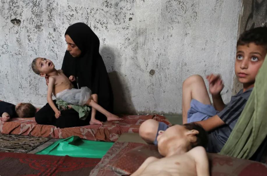 Child among 8 More Palestinians Killed by Israel’s Starvation Policy in Gaza