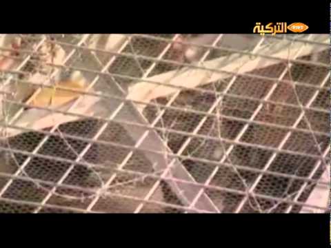 إعلان دعائي عن قضية الأسرى في قناة TRT التركية