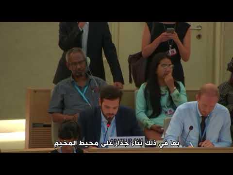 مداخلة مركز العودة حول العنصرية والتمييز ضد اللاجئين الفلسطينيين في لبنان، مجلس حقوق الإنسان 38 بند9