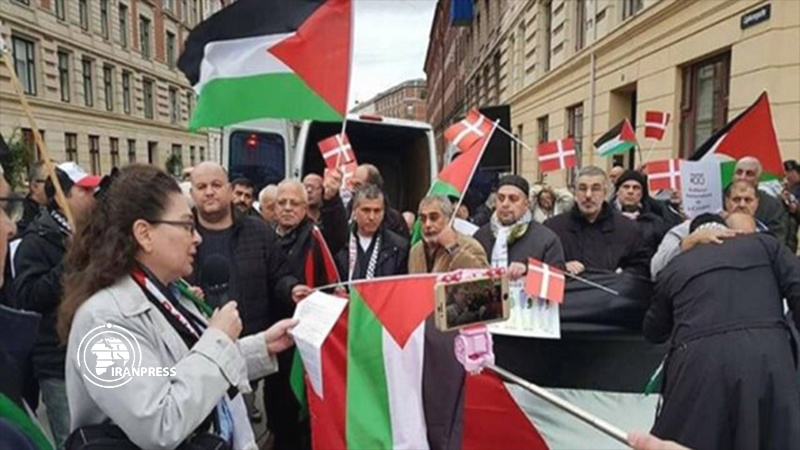 Demonstrators in Copenhagen Slam Israeli Annexation Plan