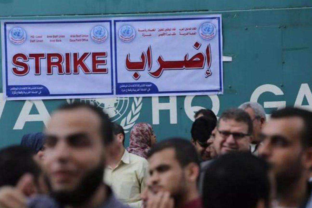 الأونروا: غطينا 52 % من رواتب ديسمبر