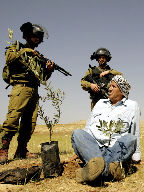 Israeli Soldiers Beat Elderly Palestinian Man for Refusing to Leave His Land