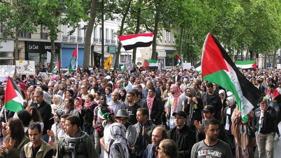 Protests Held in France against Israeli Plan to Annex Occupied Palestinian Territory
