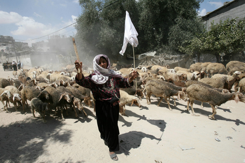 Occupation Forces Deny Access of Palestinian Farmers to Their Land in Bethlehem