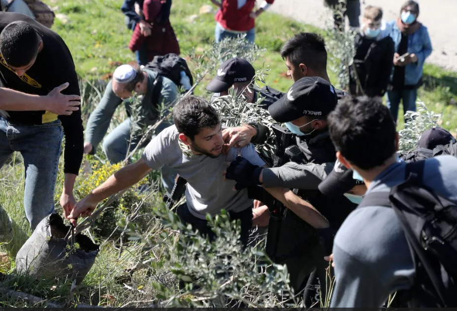 Israeli Forces Attack Palestinian Olive Pickers in Occupied West Bank