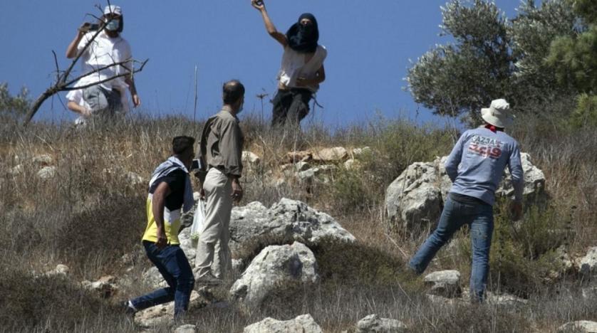 Israeli Settlers Destroy Dozens of Olive Trees on Palestinian Land in West Bank Village