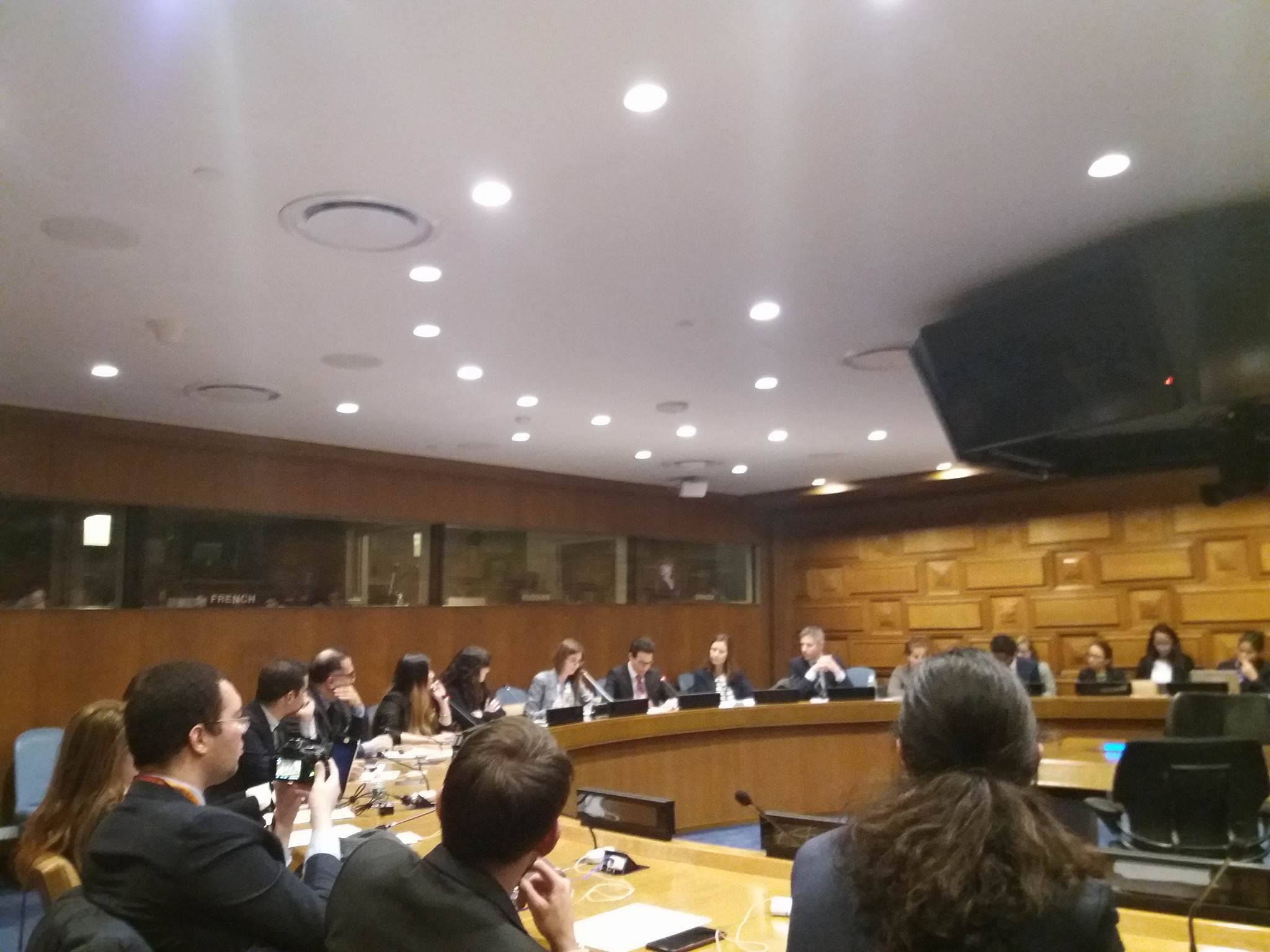 The UN Youth Delegate Programme: an Opportunity for Youth Engagement in the UN